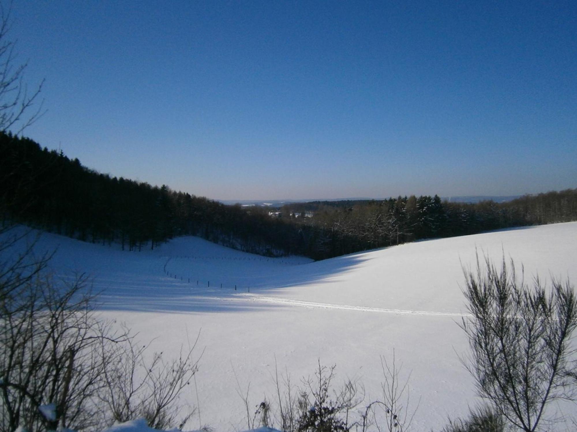 Schimsheimer Rhode *